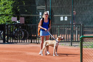 Bild 73 - VL TC Wedel e.V. - Marienthaler THC : Ergebnis: 6:3